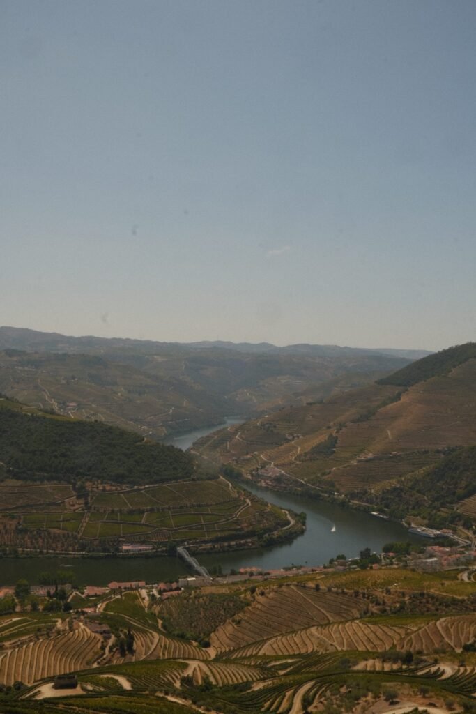 Eric & Amani Wedding Proposal in Douro Valley Eric & Amani Wedding Proposal in Douro Valley