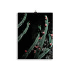 Cactus 05 Fine Art Photography Print - Image 3