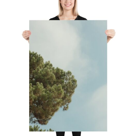 Half Pine Art Print