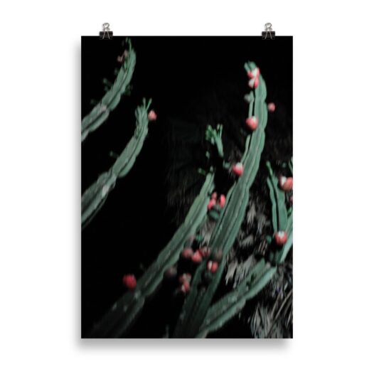 Cactus 05 Fine Art Photography Print